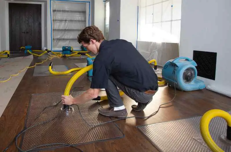 Local SEO Services for Restoration Companies in Florida